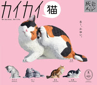 抓癢貓貓