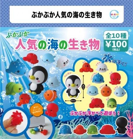 人氣海洋生物-thumbmail-2