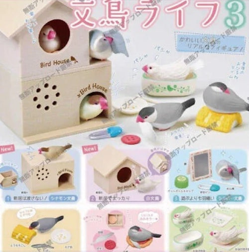 文鳥生活3-thumbmail-2