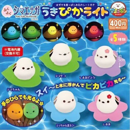 發光荷葉長尾山雀