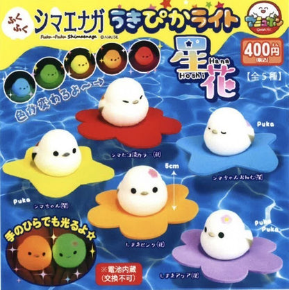 發光星星花花長尾山雀