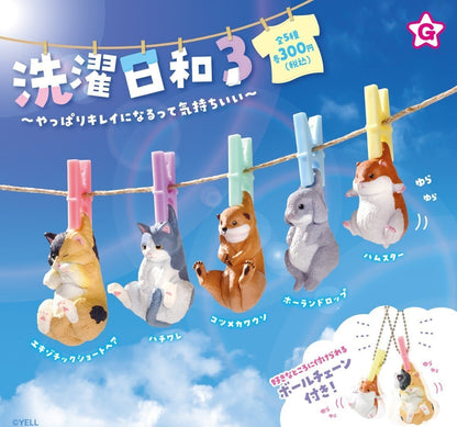 洗衣日小動物3
