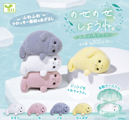 毛毛海洋生物組合