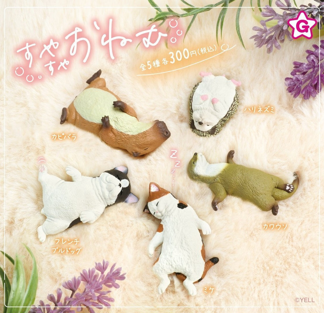 睡覺小動物（12月預購）