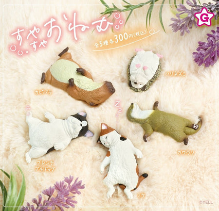 睡覺小動物（12月預購）