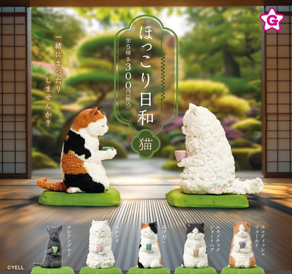 休息日常 貓咪篇