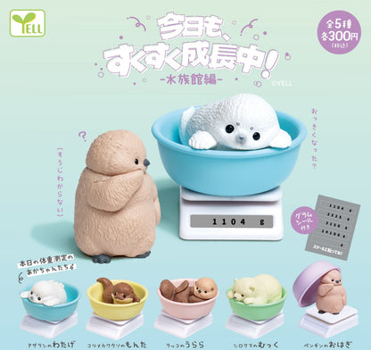 成長中小動物 水族館篇