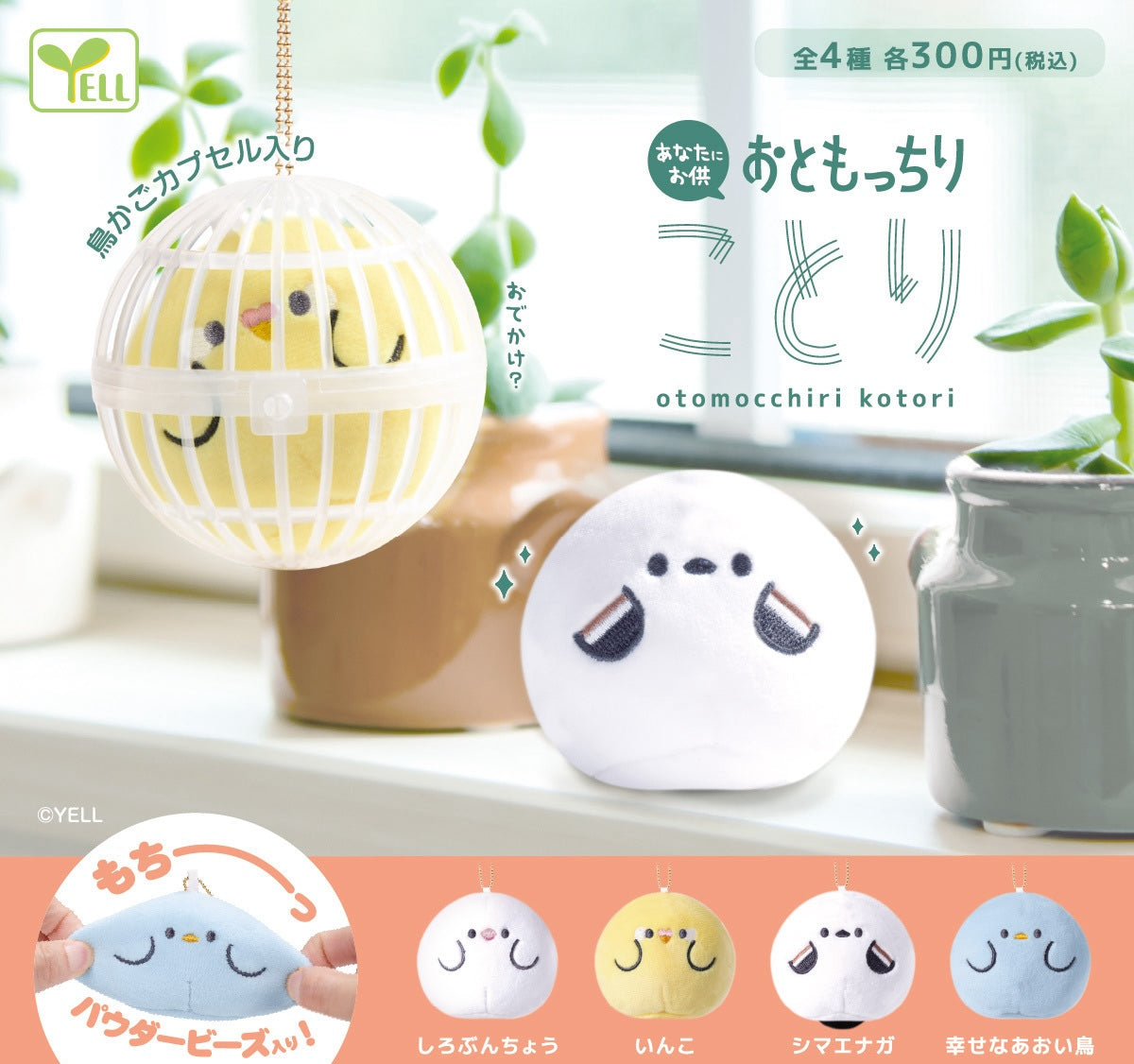 肥胖小鳥
