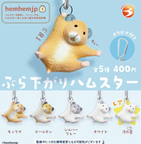 垂掛下來的倉鼠（2月預購）