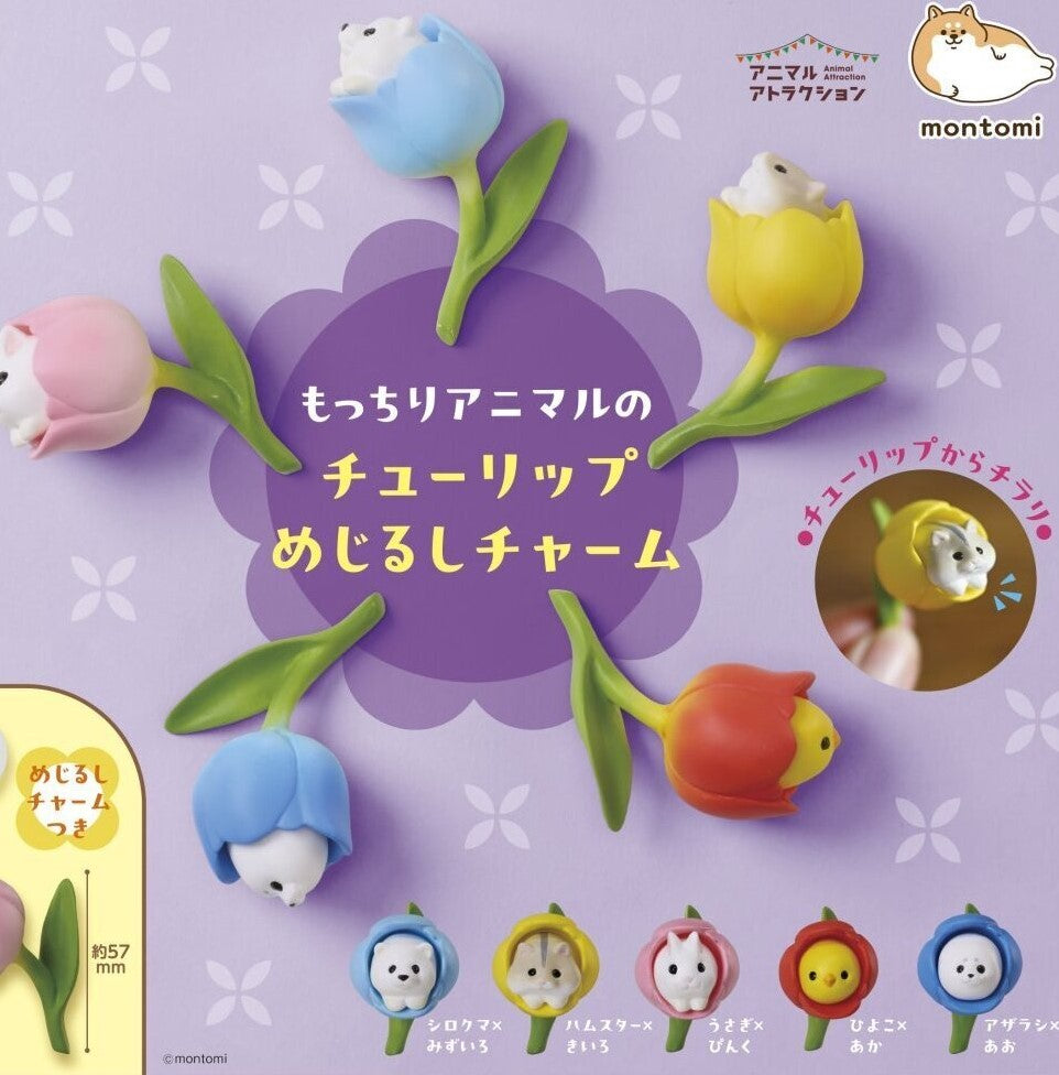 鬱金香中的小動物（4月預購）