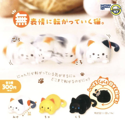 沒有表情的滾圈貓貓