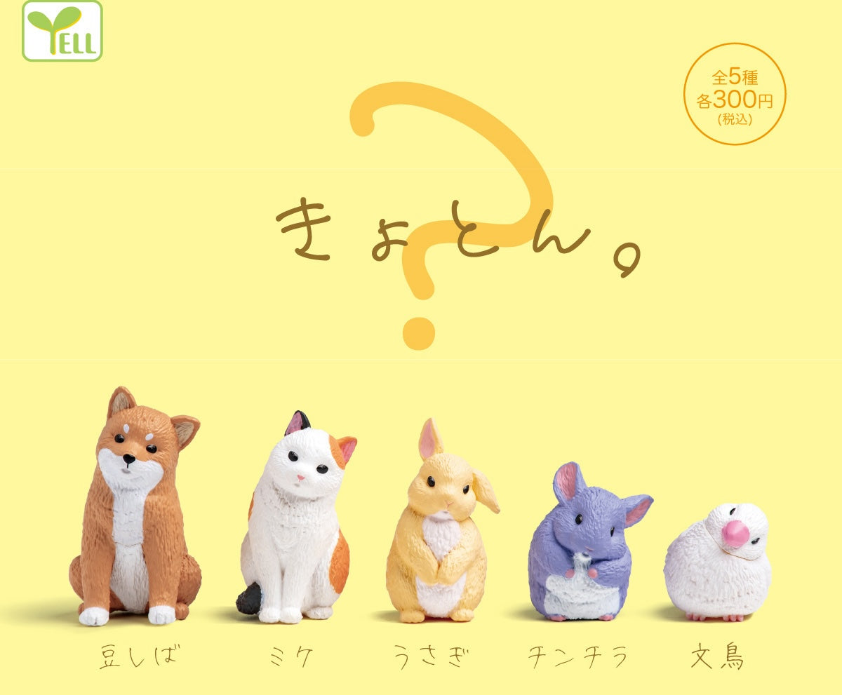 側頭小動物