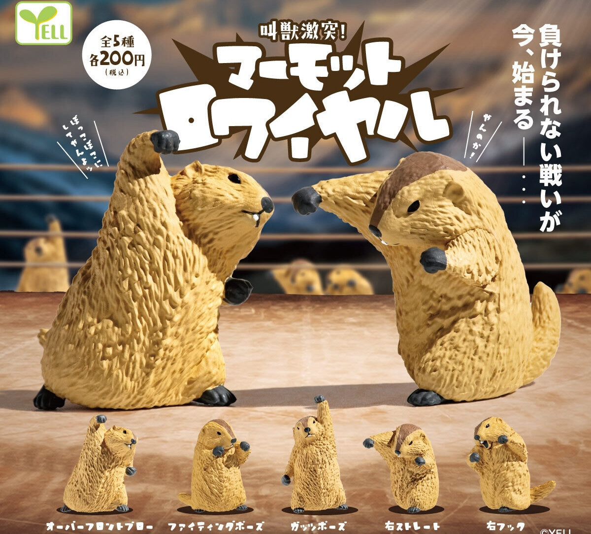 打架土撥鼠-thumbmail-2