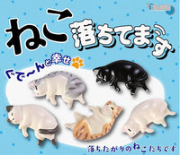掉下來的貓咪
