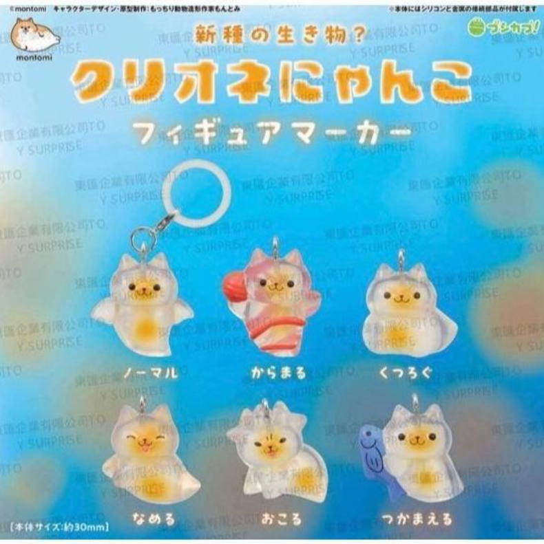 海天使貓咪