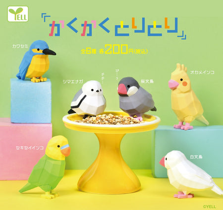 四四方方小鳥