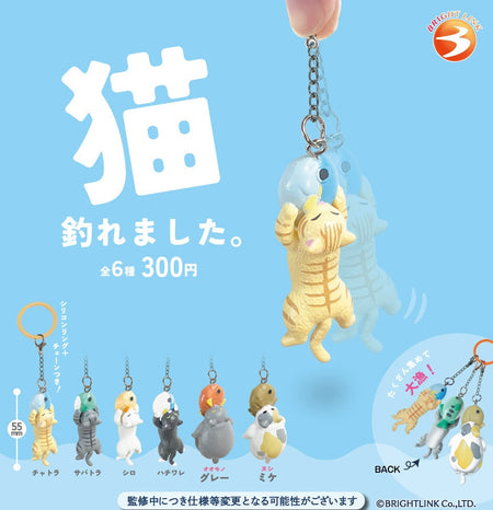 咬魚貓貓