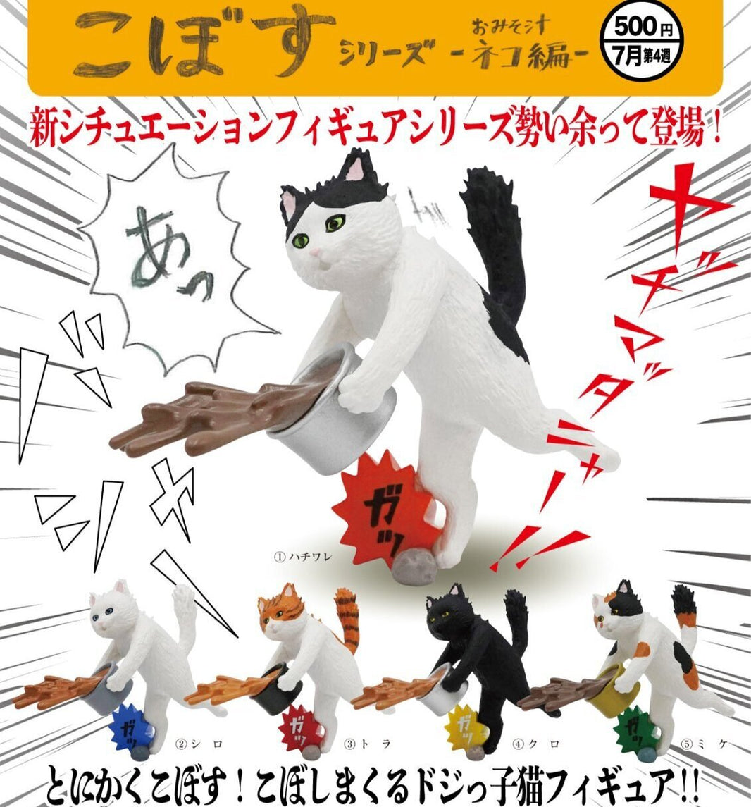 撒出味噌湯貓咪