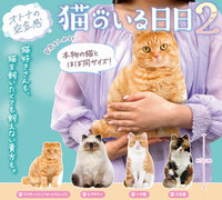 充氣貓貓2