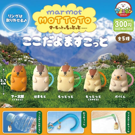 土撥鼠水樽扣