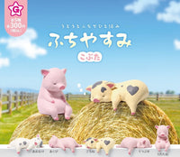 休息小豬