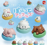休息中小動物