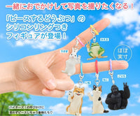 比V小動物