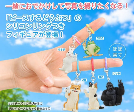 比V小動物
