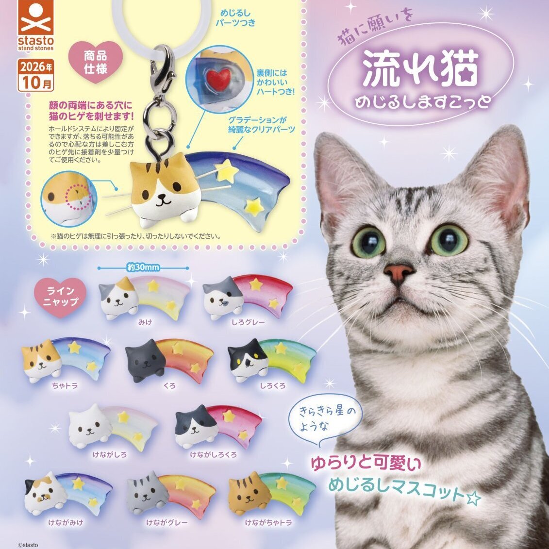 流星許願貓