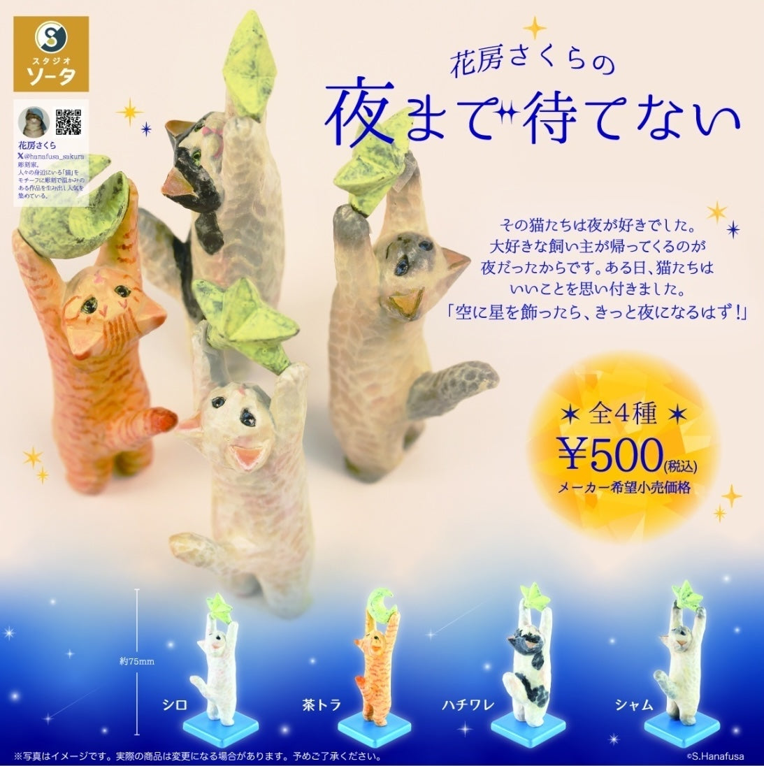 晚上夜色貓貓
