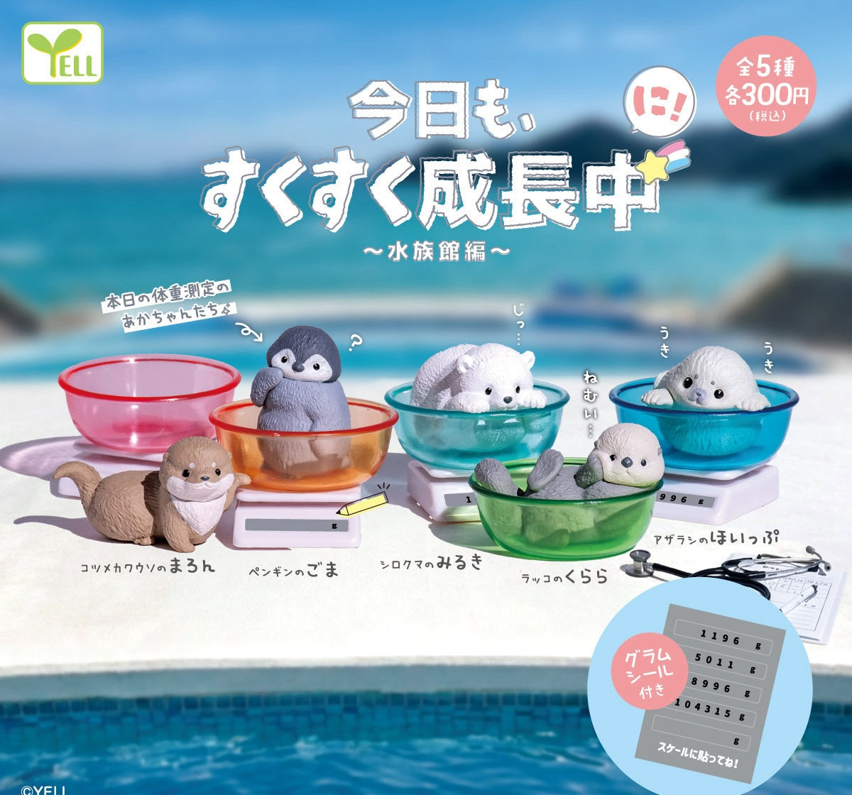成長中小動物 透明水族館篇