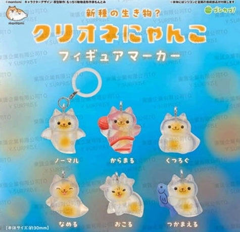 海天使貓咪