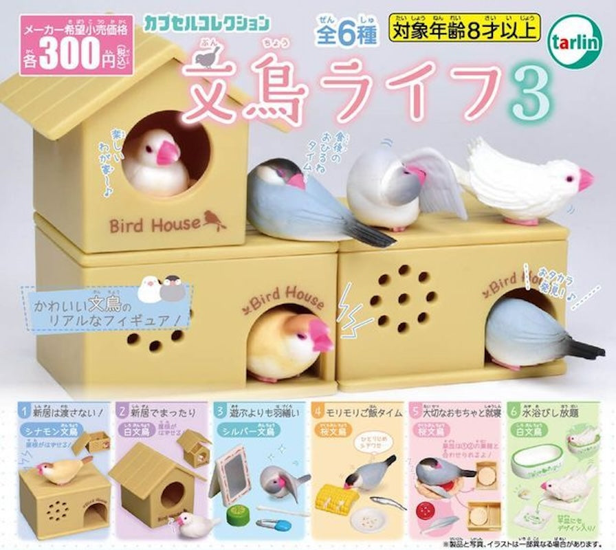 文鳥生活3