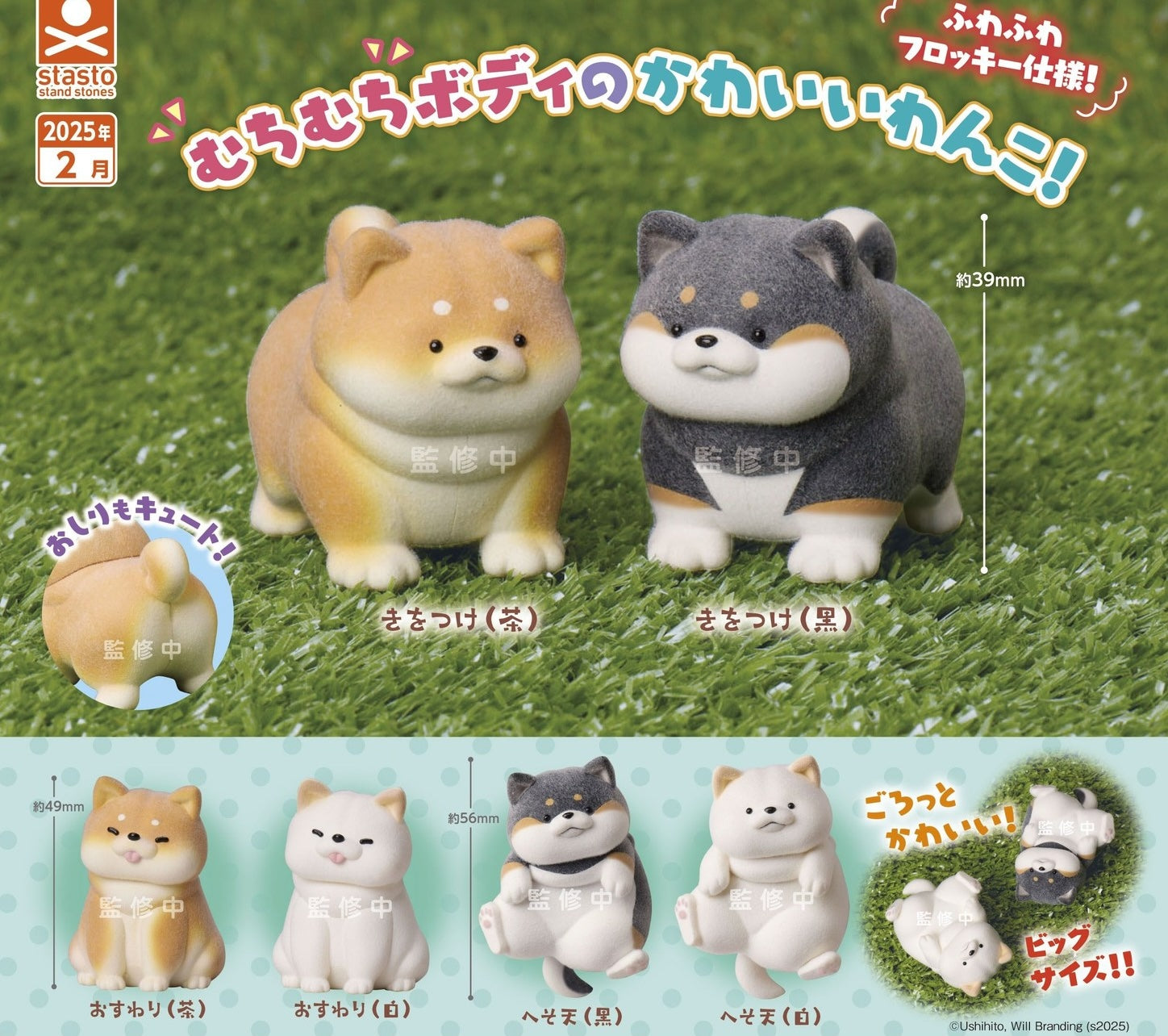 肥肥柴犬-thumbmail-2