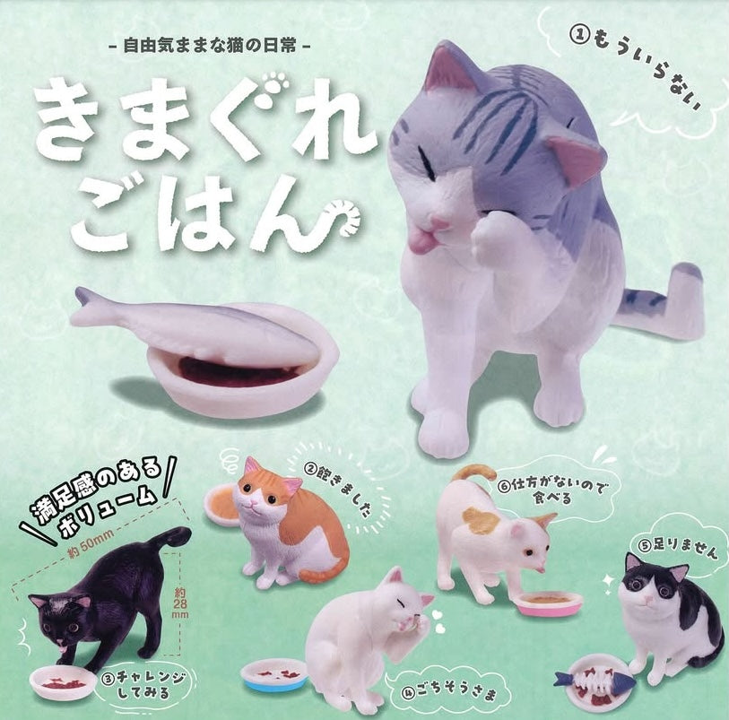 吃飯貓咪