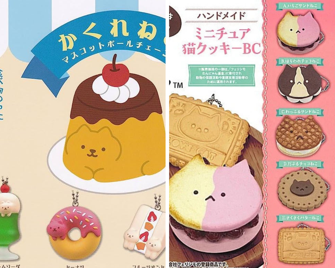貓咪食物組合
