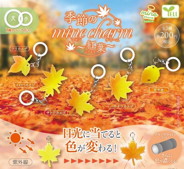 陽光變色紅葉