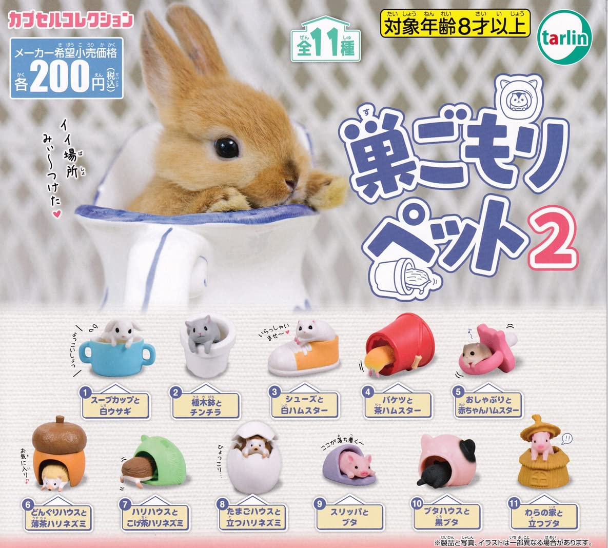 小動物巢穴2-thumbmail-1