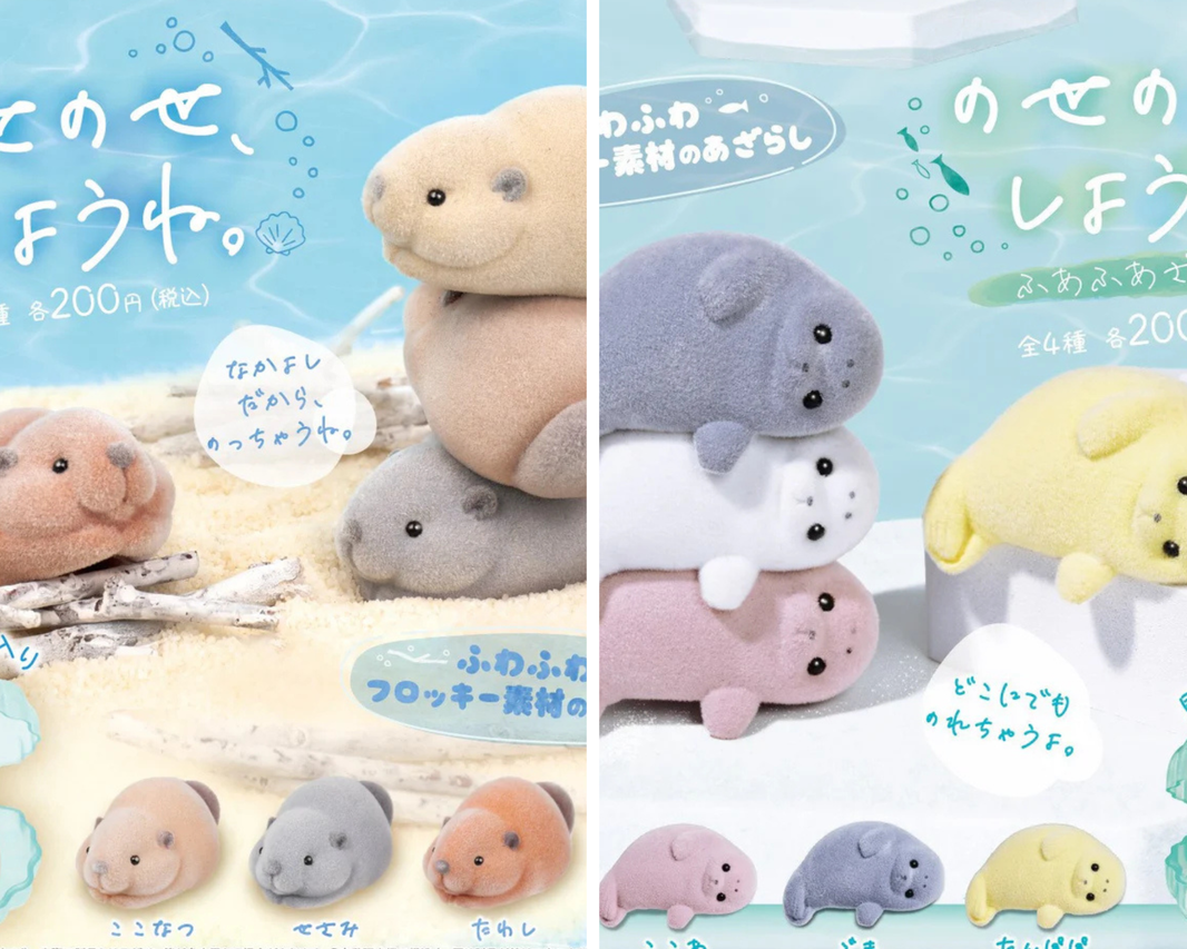 毛毛海洋生物組合