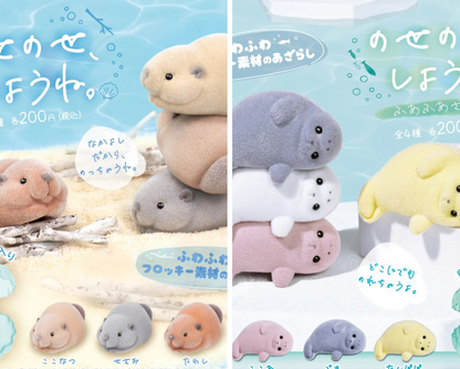 毛毛海洋生物組合
