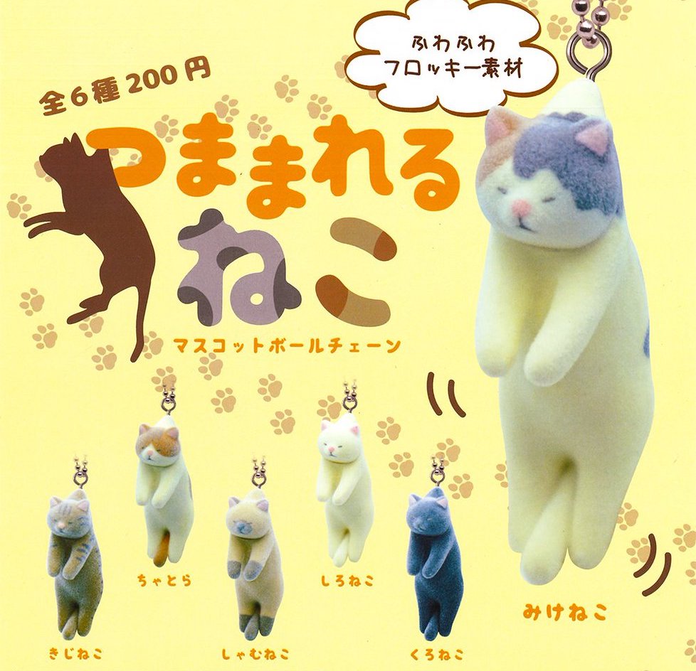夾起貓貓