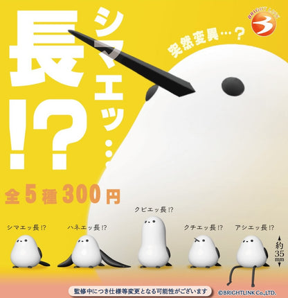 奇怪長尾山雀