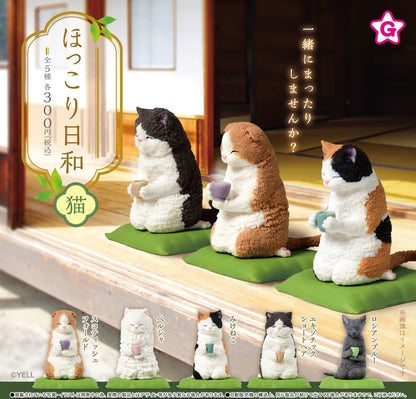 休息日常 貓咪篇