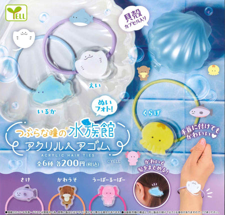 圓圓水族館髮帶