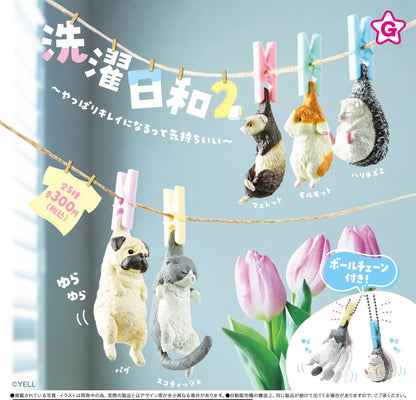 洗衣日小動物2