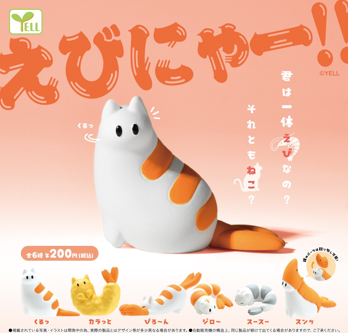 蝦蝦貓-thumbmail-1