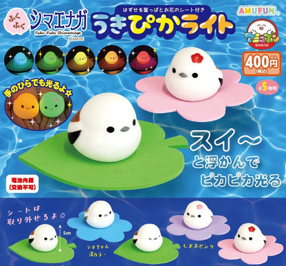 發光荷葉長尾山雀