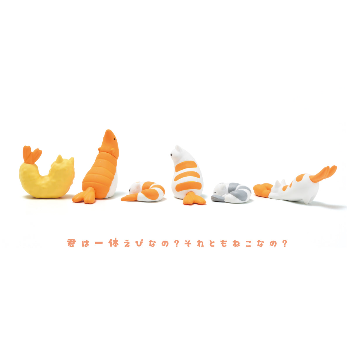 蝦蝦貓-thumbmail-2