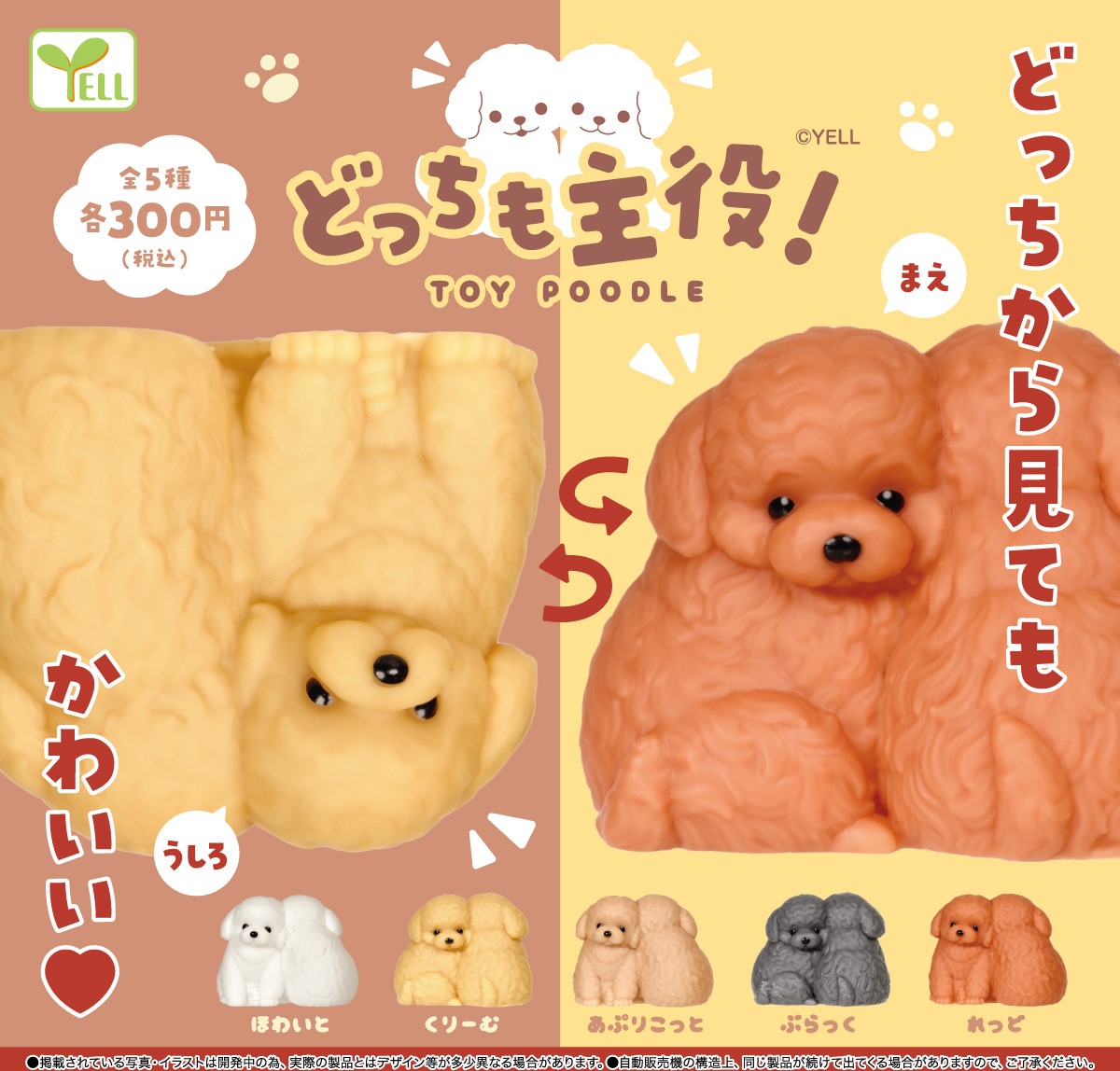 2隻貴賓犬-thumbmail-2