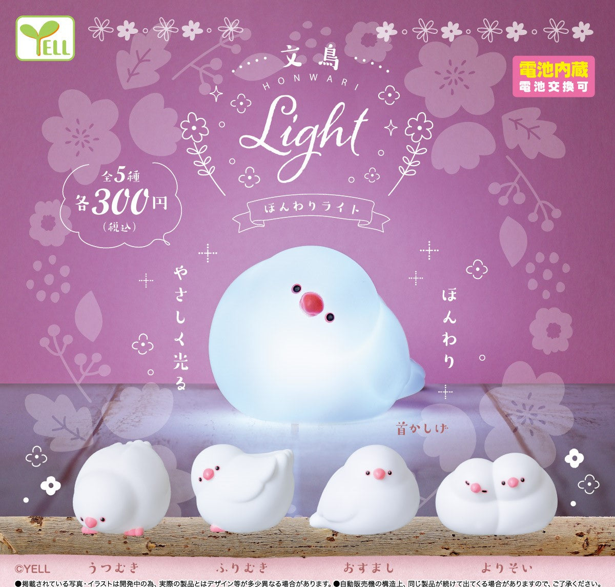 文鳥柔光燈-thumbmail-1